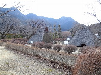 星野遺跡