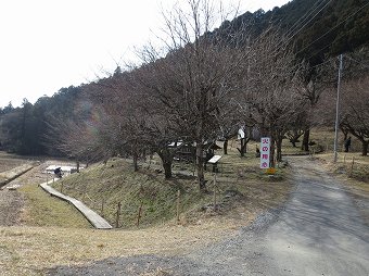 セツブンソウ園へ