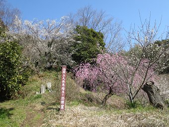 澄禅上人供養塔