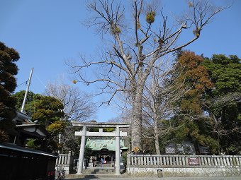 宋我神社