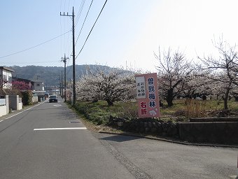 原梅林　別所梅林へ