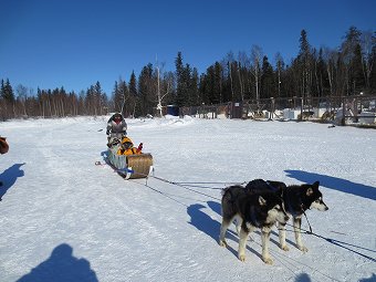 犬ぞり