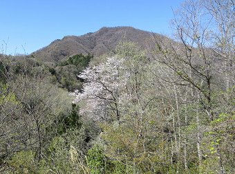 高川山へ