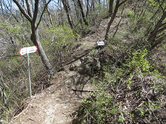 P13　田野倉（馬頭観音）分岐