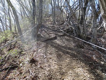 羽根子山へ