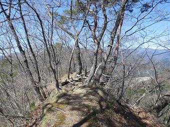 羽根子山