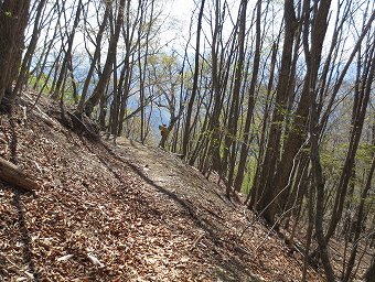 向山・鶴峠　分岐