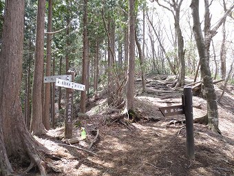 境沢林道分岐