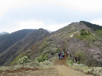 塔ノ岳方面