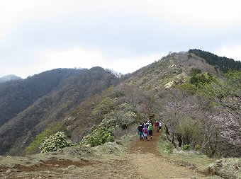 塔ノ岳方面