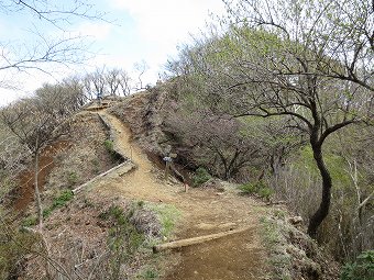 政次郎尾根分岐