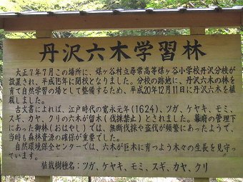 丹沢六木学習林