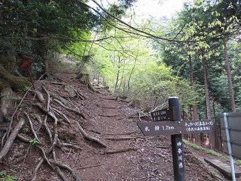 長尾尾根へ