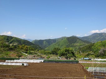 富士山