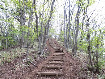 連行峰へ