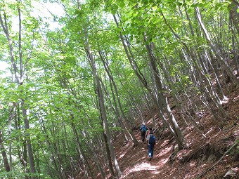 お坊山東尾根