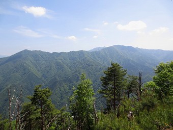 鶴ヶ鳥屋山～本社ヶ丸