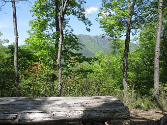 入道山の手前の小ピーク