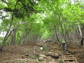 大倉尾根