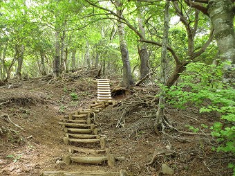 円山木ノ頭へ