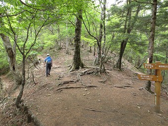 黒川山と展望台へ