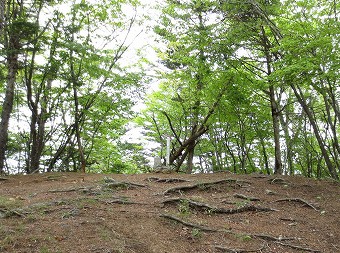 黒川山