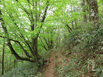 丸川峠へ