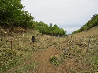 丸川峠