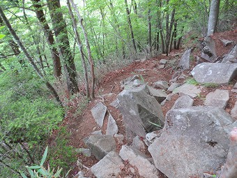 丸川峠からの下り