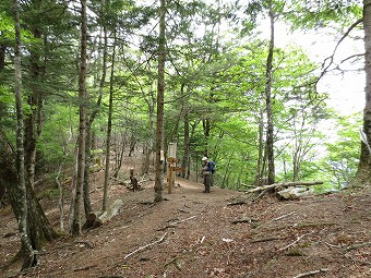 鶏冠山・黒川山　分岐