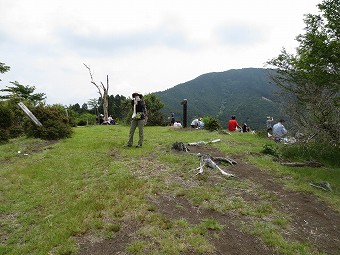 サンショウバラの丘