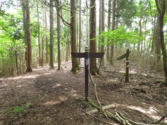 県境尾根・金時神社