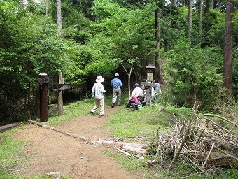 不老の活路　分岐