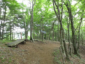 明神山あたり？