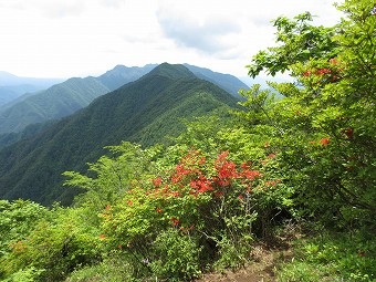 鬼ヶ岳方面