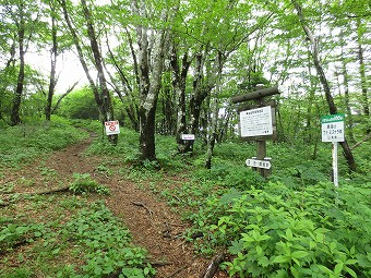 釈迦ヶ岳　分岐