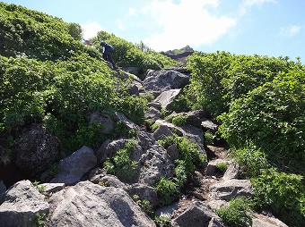 岩稜の急登