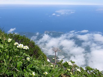 鴛泊港