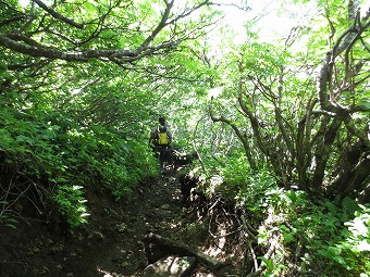 北麓野営場へ