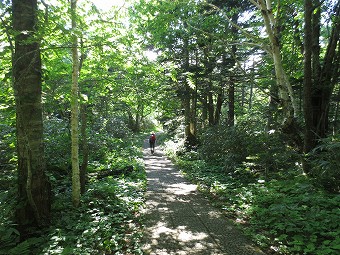 下山