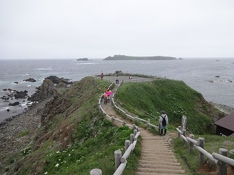 トド島