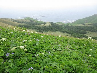 メノウ浜