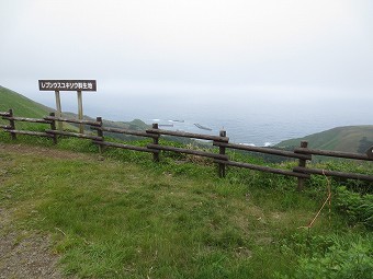 レブンウスユキソウ群生地