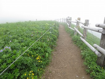 桃岩コース