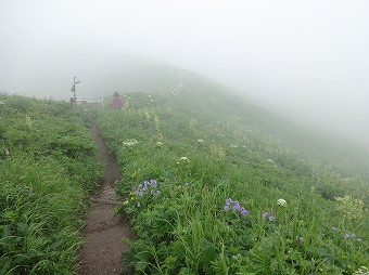 ガスの桃岩コース