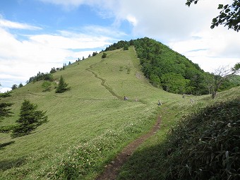 熊沢山