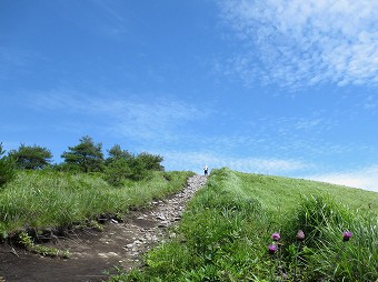 信濃路自然歩道