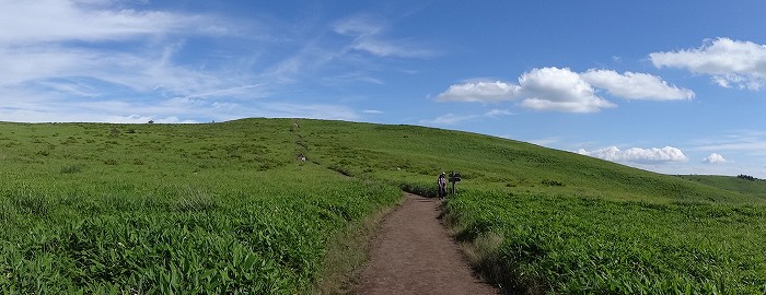 沢渡　分岐