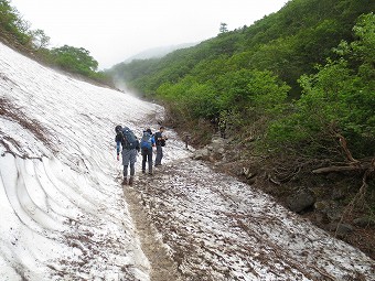 藪沢の雪渓