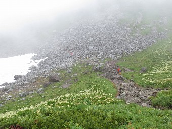 龍王岳　下り